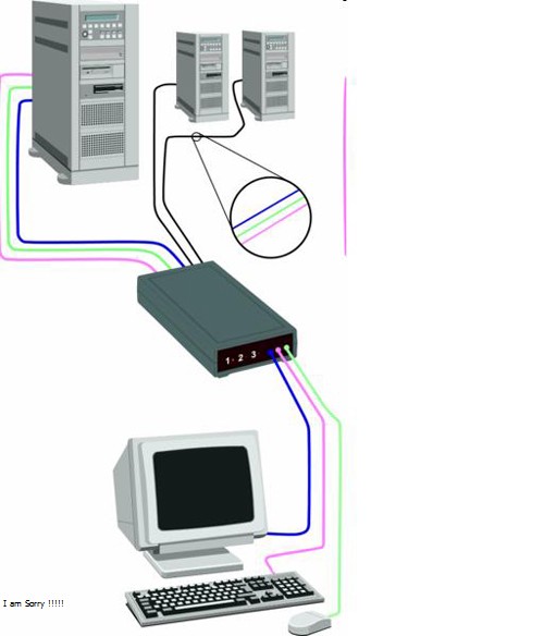 Switch là gì? Những tính năng chính của thiết bị Switch?