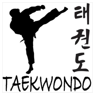 Taekwondo và các kỹ thuật chiến đấu Taekwondo thông dụng?