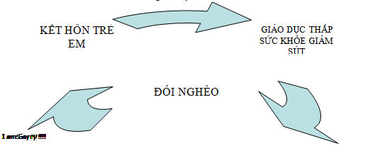 Tảo Hôn Là Gì? Tìm Hiểu Về Tảo Hôn Là Gì?