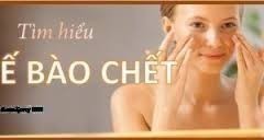 Tế Bào Chết Là Gì? Tìm Hiểu Về Tế Bào Chết Là Gì?