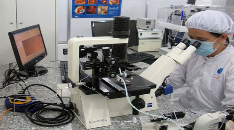 Tế Bào Gốc Là Gì? Tìm Hiểu Về Tế Bào Gốc Là Gì?