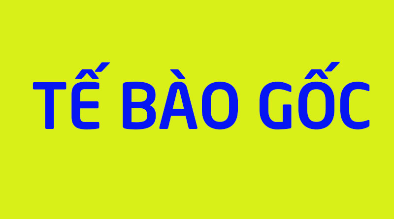 Tế Bào Gốc Là Gì? Tìm Hiểu Về Tế Bào Gốc Là Gì?