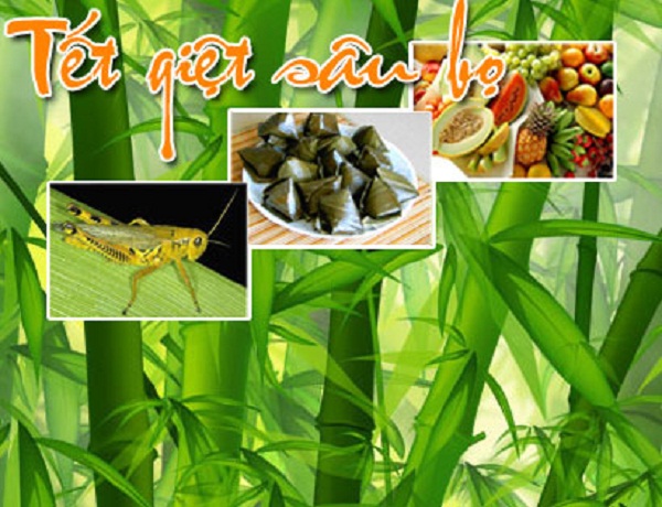 Tết Đoan Dương Là Gì? Tìm Hiểu Về Tết Đoan Dương Là Gì?