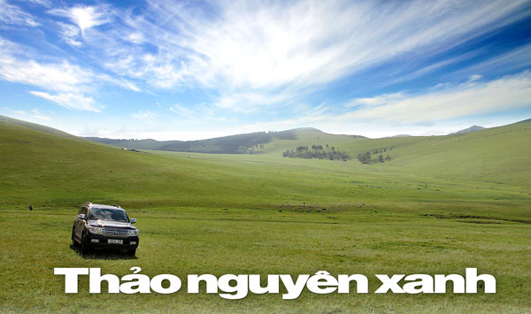 Thảo nguyên là gì và những điều thú vị về thảo nguyên?