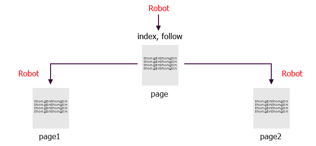Tìm Hiểu Về Thẻ Meta Robots Là Gì?