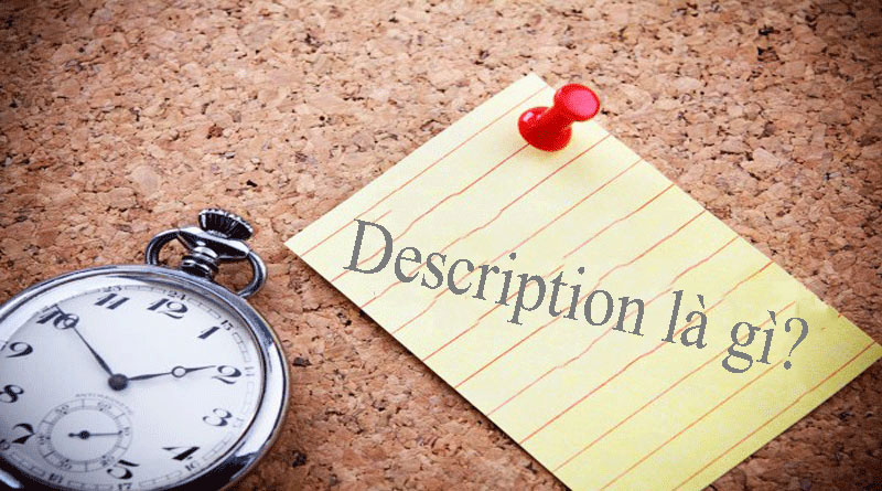 Thẻ Mô Tả Là Gì? Tìm Hiểu Về Thẻ Mô Tả Là Gì?