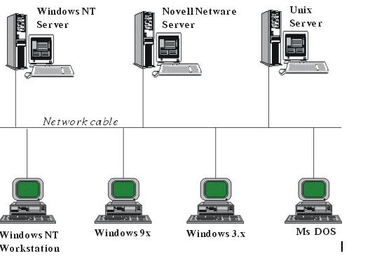 Mạng Wan là gì và những hạn chế khi sử dụng mạng Wan?