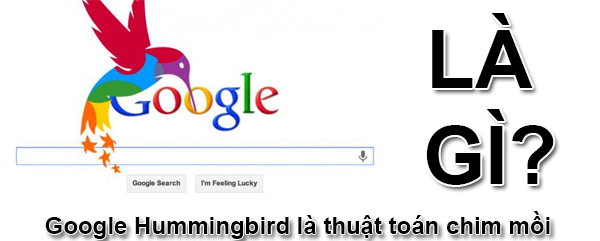 Google Hummingbird Là Gì? Thuật Toán Hummingbird Là Gì?