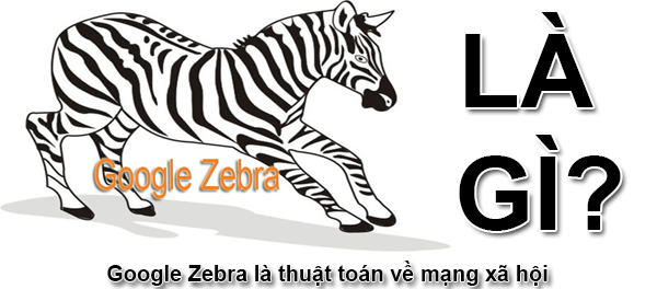 Google Zebra Là Gì? Thuật Toán SEO Google Zebra Là Gì?