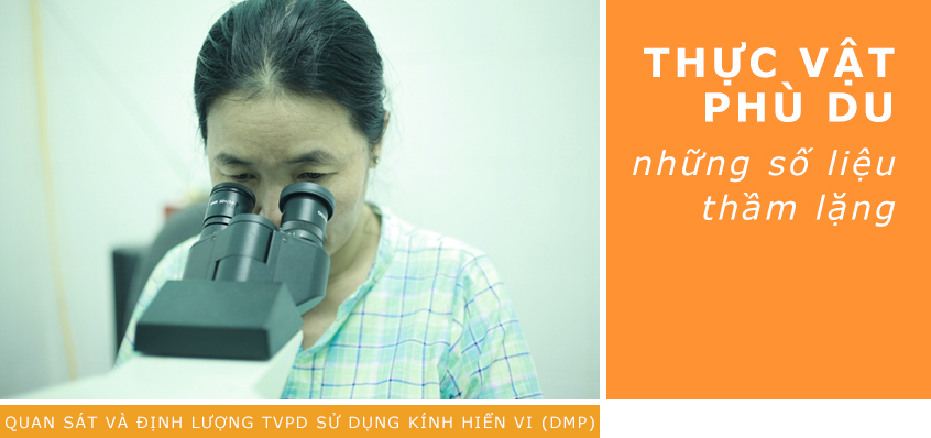 Thực vật phù du là gì? Vai trò của thực vật phù du?