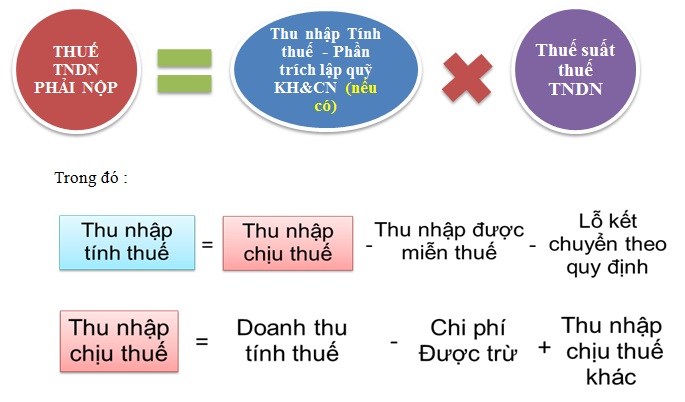 Thuế TNDN Là Gì? Tìm Hiểu Về Thuế TNDN Là Gì?