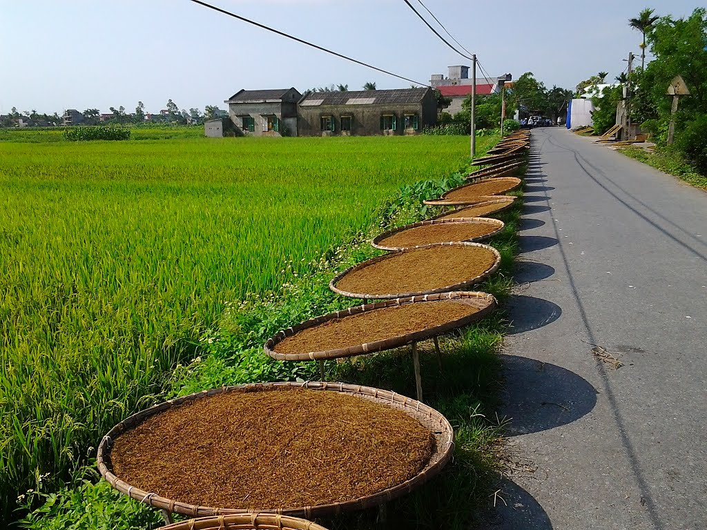 Thuốc Lào là Gì? Tìm Hiểu Về Thuốc Lào là Gì?