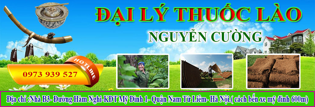 Thuốc Lào là Gì? Tìm Hiểu Về Thuốc Lào là Gì?