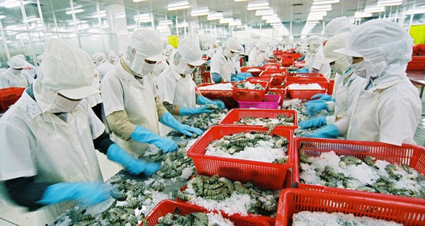 Phân loại các loài THỦY SẢN gồm những loài nào?