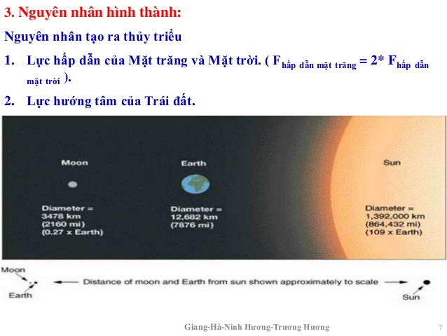 Thủy Triều Là Gì? Tìm Hiểu Về Thủy Triều Là Gì?