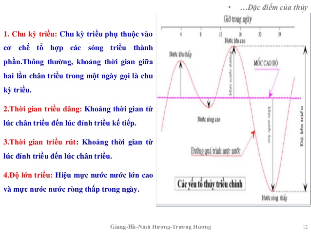 Thủy Triều Là Gì? Tìm Hiểu Về Thủy Triều Là Gì?