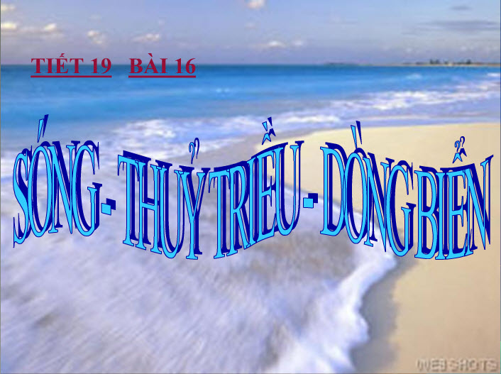 Thủy Triều Là Gì? Tìm Hiểu Về Thủy Triều Là Gì?