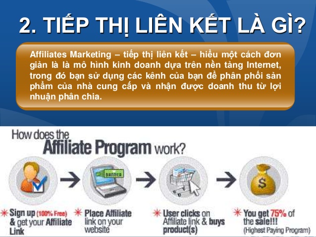 Tiếp thị liên kết là gì Hướng dẫn chi tiết cho người mới