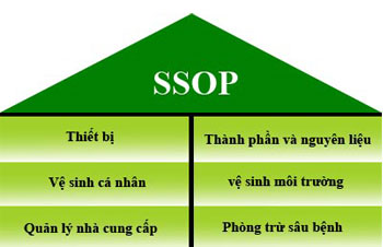 Tiêu Chuẩn Ssop Là Gì? Tìm Hiểu Về Tiêu Chuẩn Ssop Là Gì?
