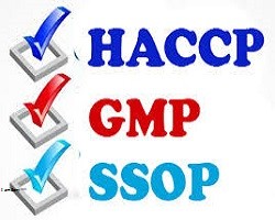 Tiêu Chuẩn Ssop Là Gì? Tìm Hiểu Về Tiêu Chuẩn Ssop Là Gì?