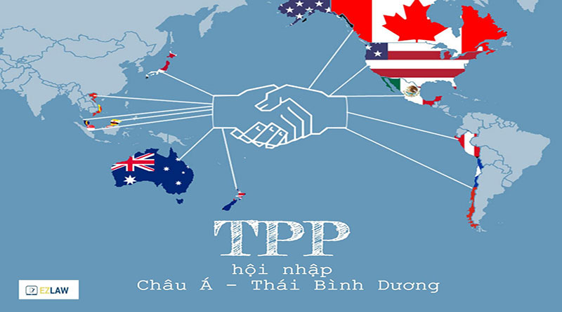 Tpp Là Gì? Tìm Hiểu Về Tpp Là Gì?
