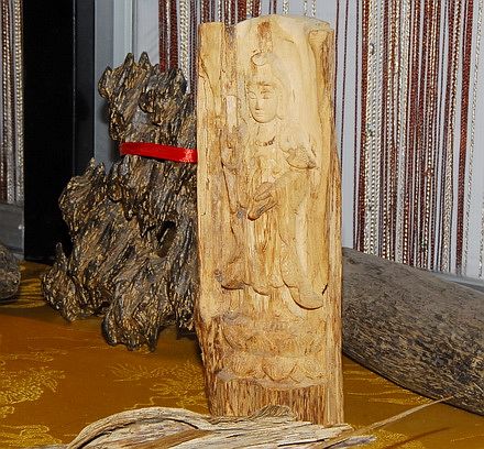 Trầm Hương Là Gì? Tìm Hiểu Về Trầm Hương Là Gì?