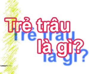 Trẻ Trâu Là Gì? Tìm Hiểu Về Trẻ Trâu Là Gì?