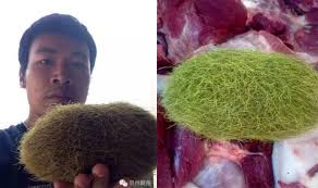 Trư Sa Là Gì? Tìm Hiểu Về Trư Sa Là Gì?