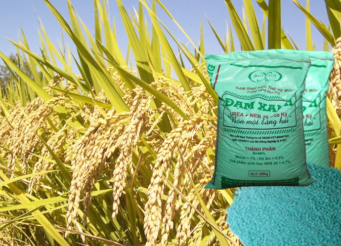 Urê là gì? Urê có ứng dụng gì trong cuộc sống?