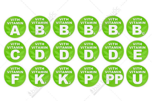 Vitamin Là Gì? Tìm Hiểu Về Vitamin Là Gì?