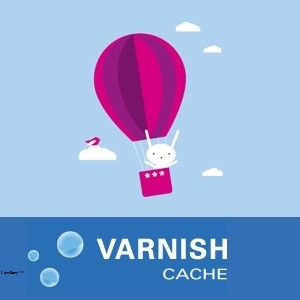Varnish Cache Là Gì? Tìm Hiểu Về Varnish Cache Là Gì?