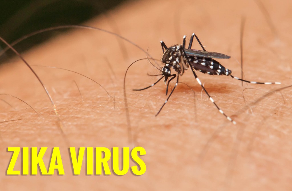 Virus Zika là gì? Tìm Hiểu Về Virus Zika là gì?