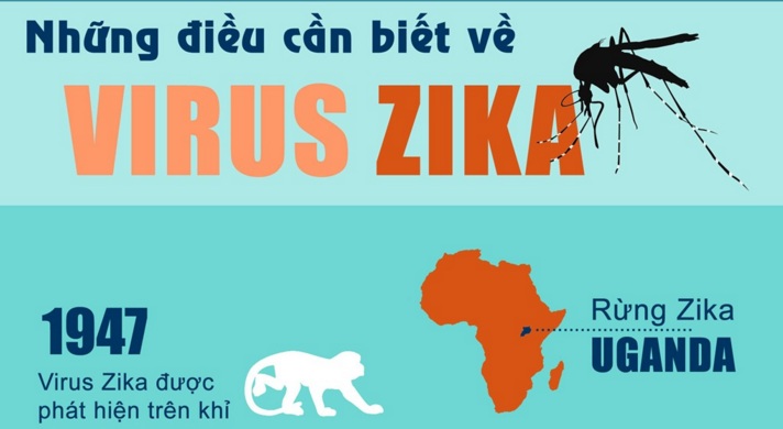 Virus Zika là gì? Tìm Hiểu Về Virus Zika là gì?