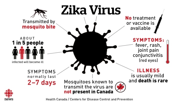 Virus Zika là gì? Tìm Hiểu Về Virus Zika là gì?