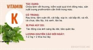 Vitamin K Là Gì? Tìm Hiểu Về Vitamin K Là Gì?