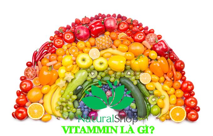 Vitamin Là Gì? Tìm Hiểu Về Vitamin Là Gì?
