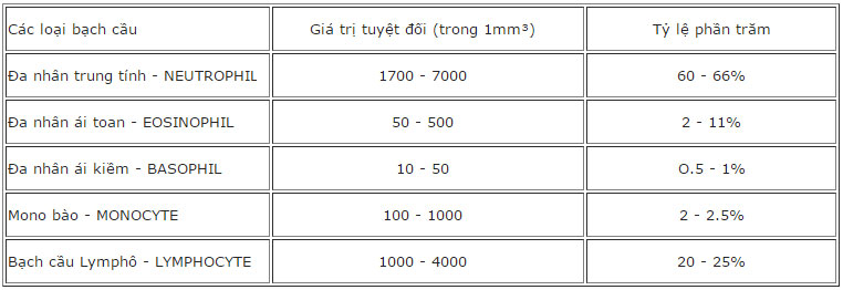 White Blood Cell Là Gì? Tìm Hiểu Về White Blood Cell Là Gì?