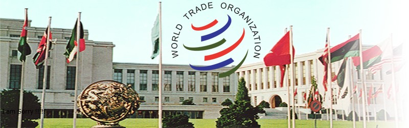 WTO Là Gì? Tìm Hiểu Về WTO Là Gì?