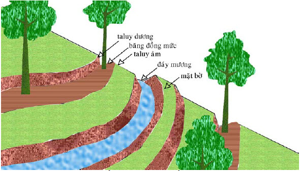 Xói mòn đất là gì và những tác hại của việc xói mòn đất?