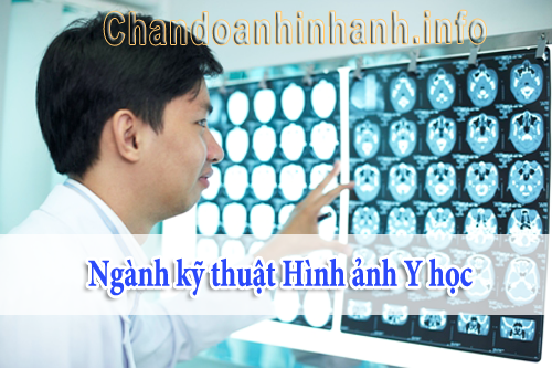 Y Học Là Gì? Tìm Hiểu Về Y Học Là Gì?