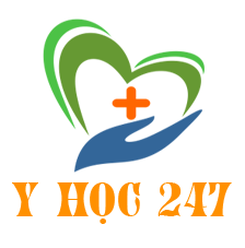 Y Học Là Gì? Tìm Hiểu Về Y Học Là Gì?