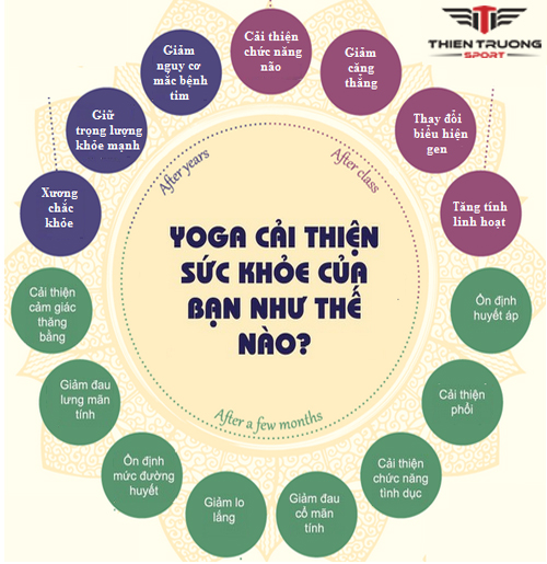 Yoga Là Gì? Tìm Hiểu Về Yoga Là Gì?