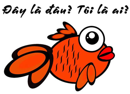 Não cá vàng là gì? Dấu hiệu của người bị não cá vàng