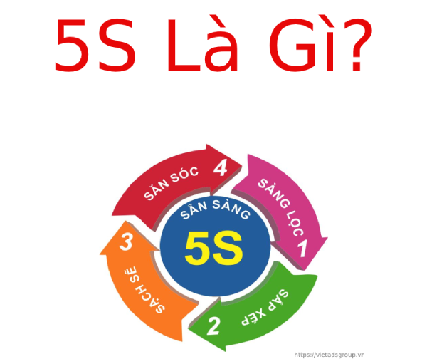 5S Là Gì? Các Bước Áp Dụng 5S Trong Doanh Nghiệp