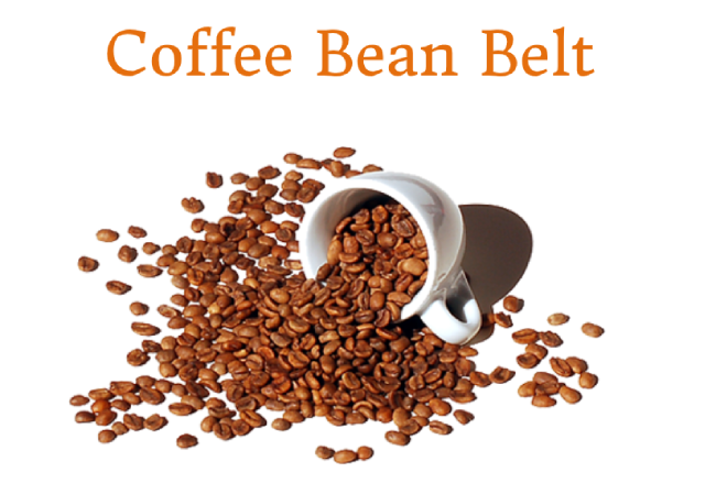 Coffee Bean Belt là gì và đặc điểm của Coffee Bean Belt?