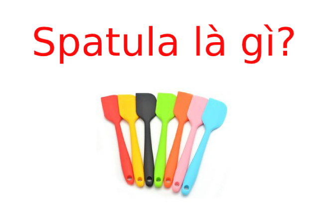 Spatula nghĩa là gì? Công dụng của Spatula