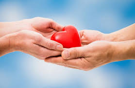 Những Bài Học Nhân Sinh Về Lẽ Sống