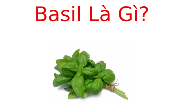 Basil là gì? Công dụng bất ngờ của Basil