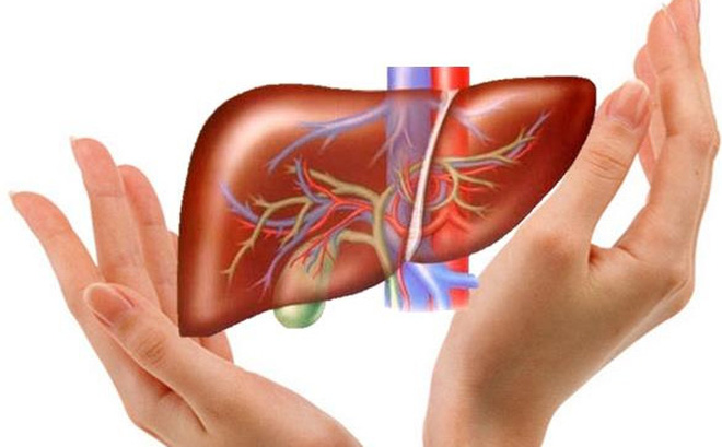 8 Bí Quyết Đơn Giản Phòng Tránh Bệnh Gan Và Giúp Gan Luôn Khỏe Mạnh