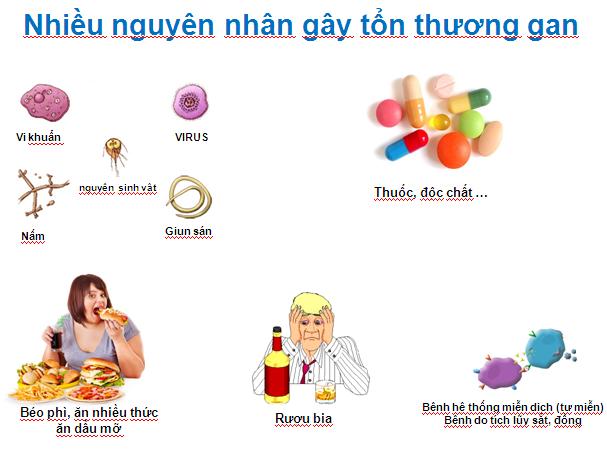 8 Bí Quyết Đơn Giản Phòng Tránh Bệnh Gan Và Giúp Gan Luôn Khỏe Mạnh